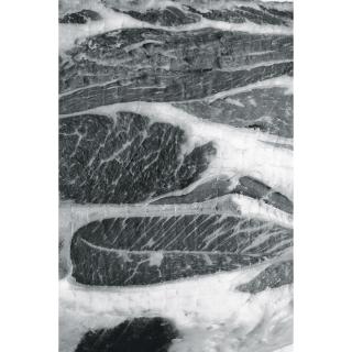 Hans Gissinger - Muscle No.2