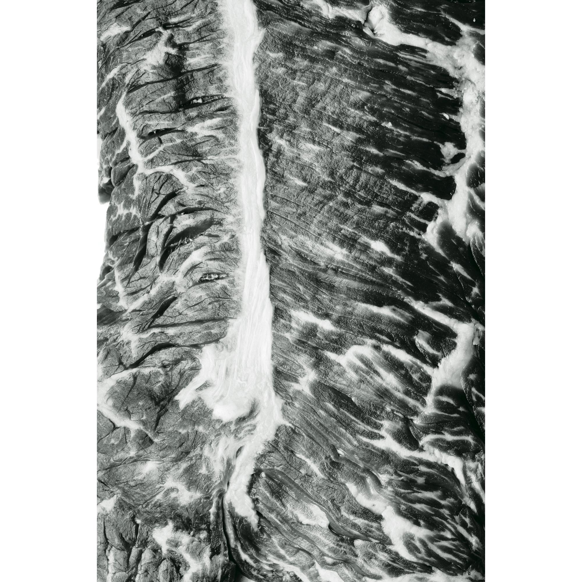 Hans Gissinger - Muscle No.3