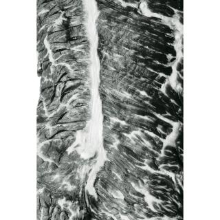 Hans Gissinger - Muscle No.3