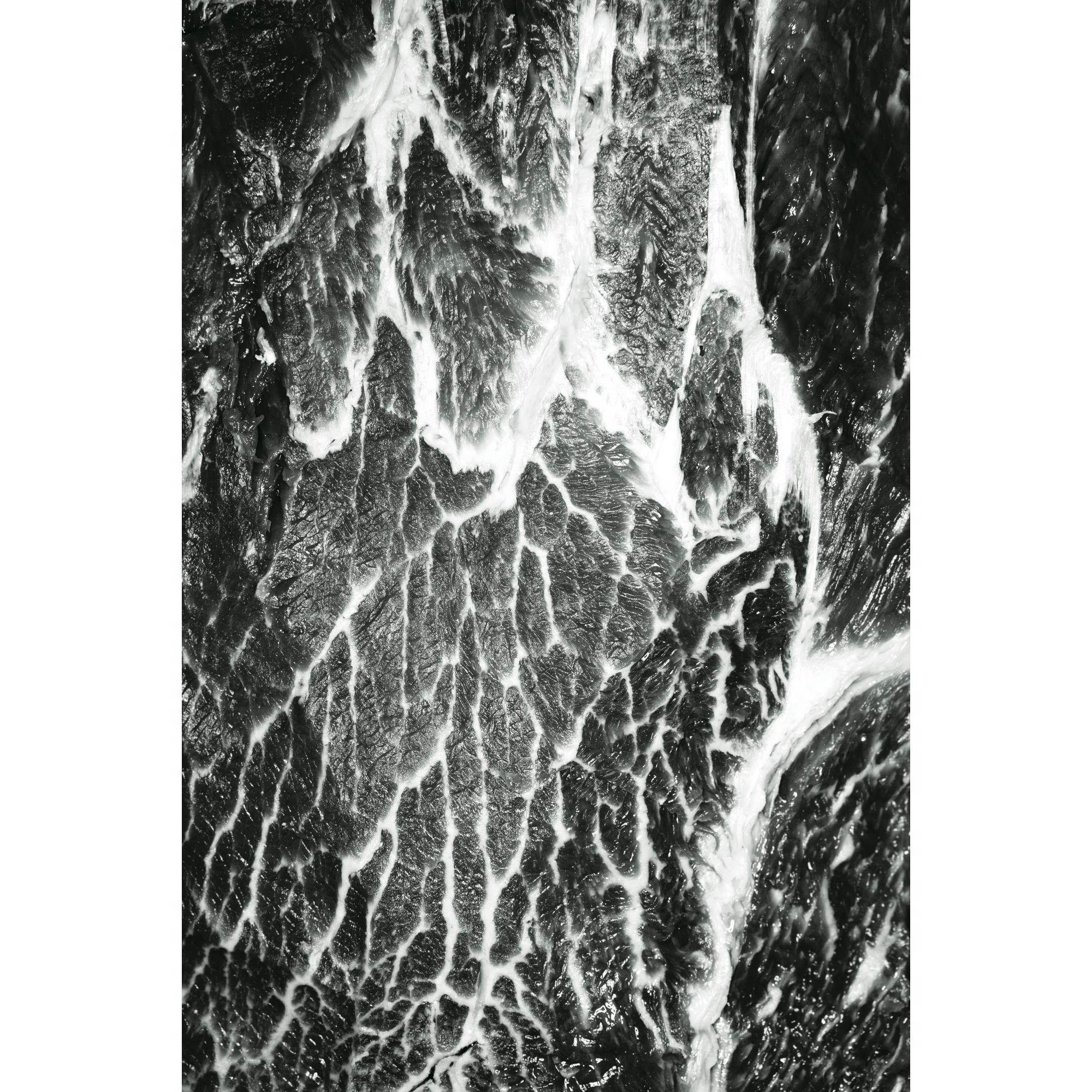 Hans Gissinger - Muscle No.5