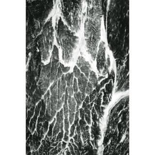 Hans Gissinger - Muscle No.5