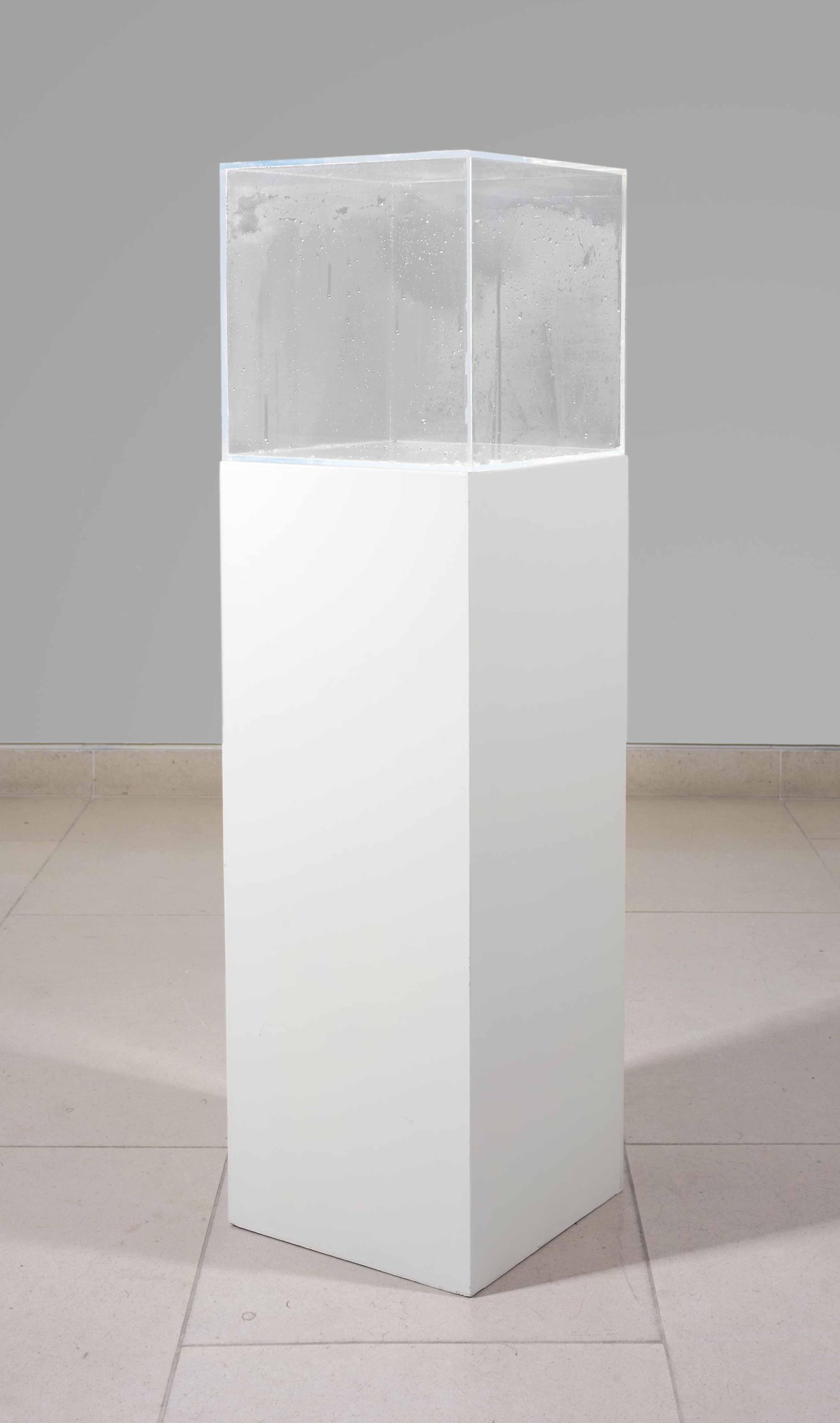 Hans Haacke - Condensation Cube