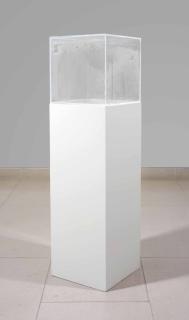 Hans Haacke - Condensation Cube