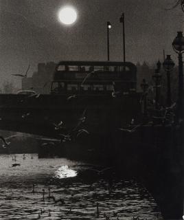 Hans Hammarskiöld - \