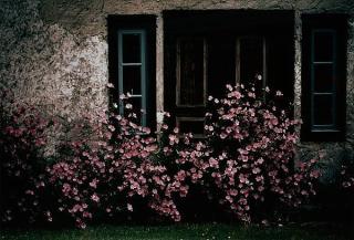 Hans Hammarskiöld - \