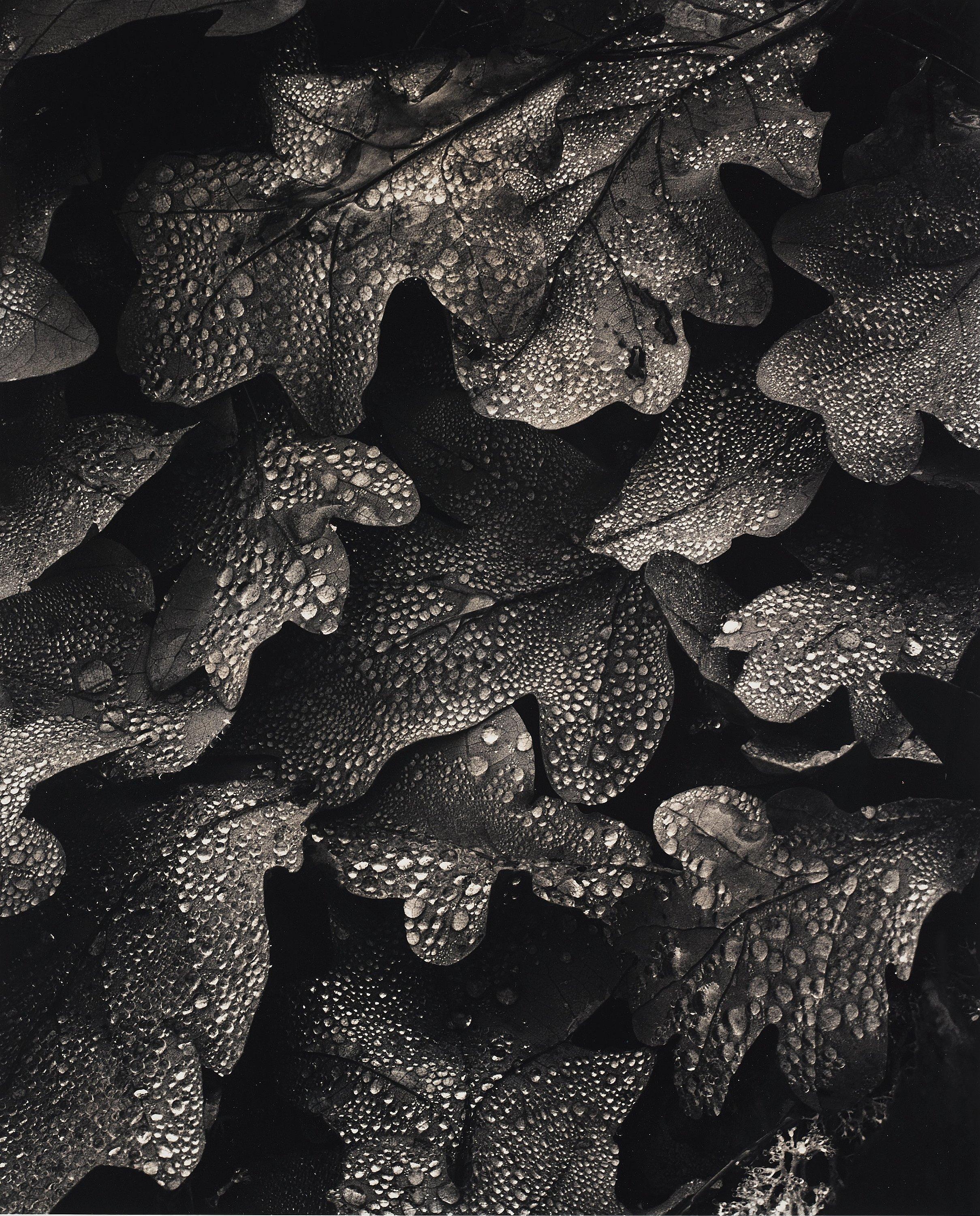 Hans Hammarskiöld - \