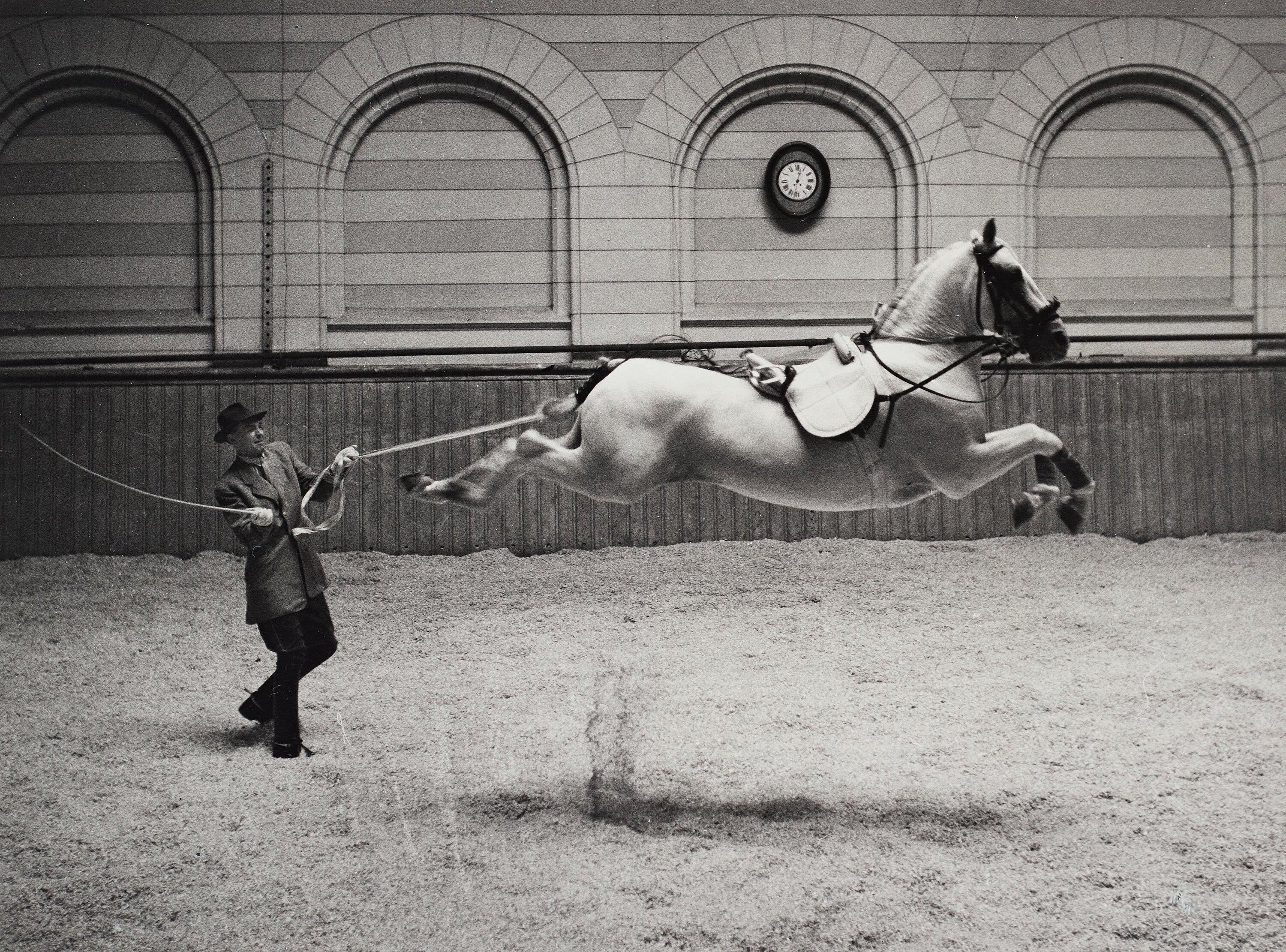 Hans Hammarskiöld - \