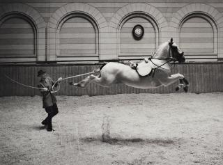 Hans Hammarskiöld - \