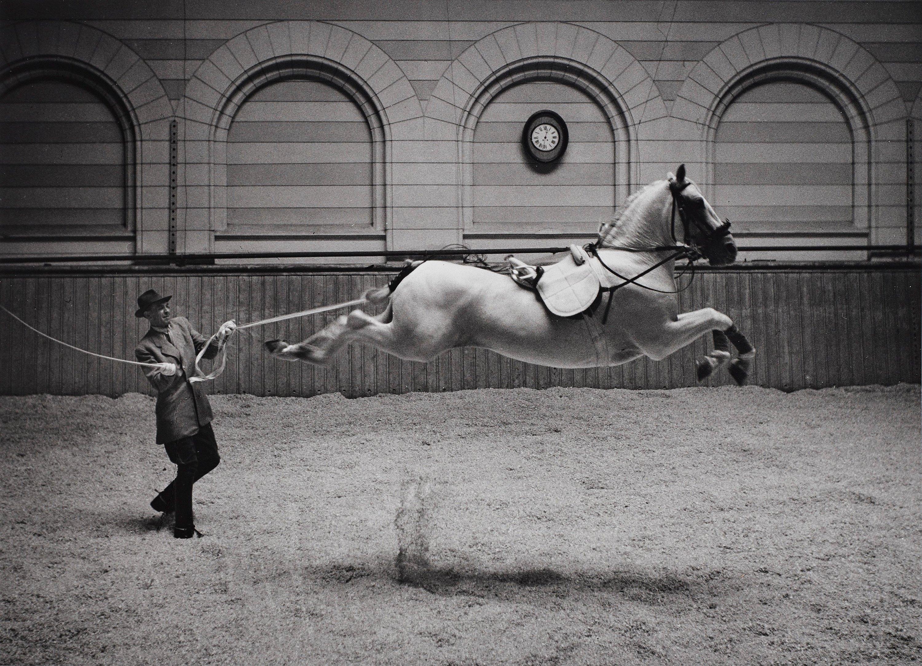 Hans Hammarskiöld - \