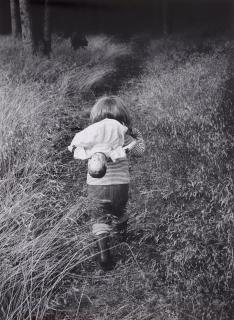 Hans Hammarskiöld - \