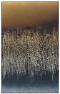 Hans Hartung - T1965-R7