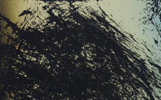 Hans Hartung - T1980 E32