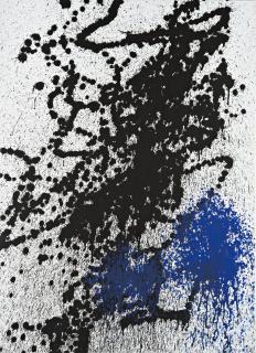 Hans Hartung - T1989-H30