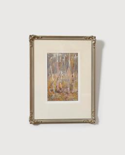 Hans Heysen - Study of Young Gums, 1899