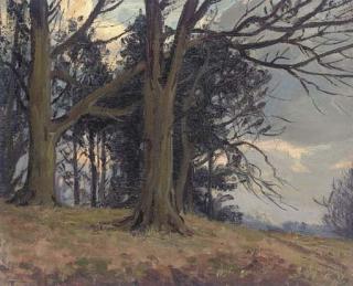 Hans Iten, R.U.A. - Dawn