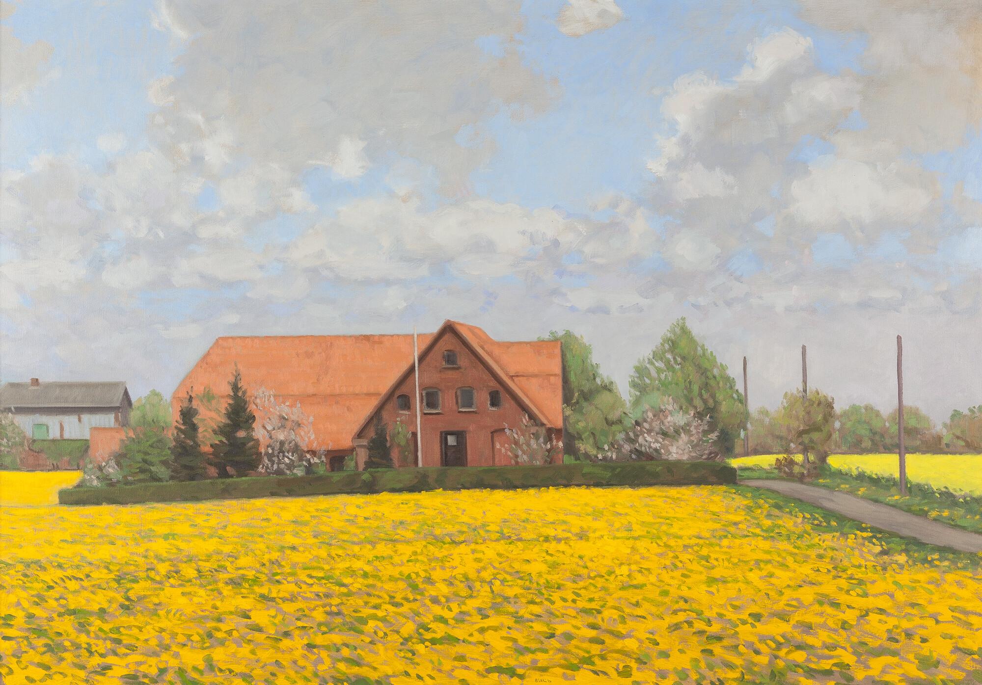 Hans-Joachim Billib - Löwenzahnwiese & Rapsfeld