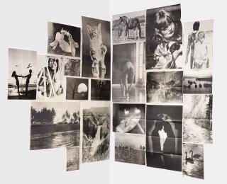 Hans Peter Feldman - Sans titre