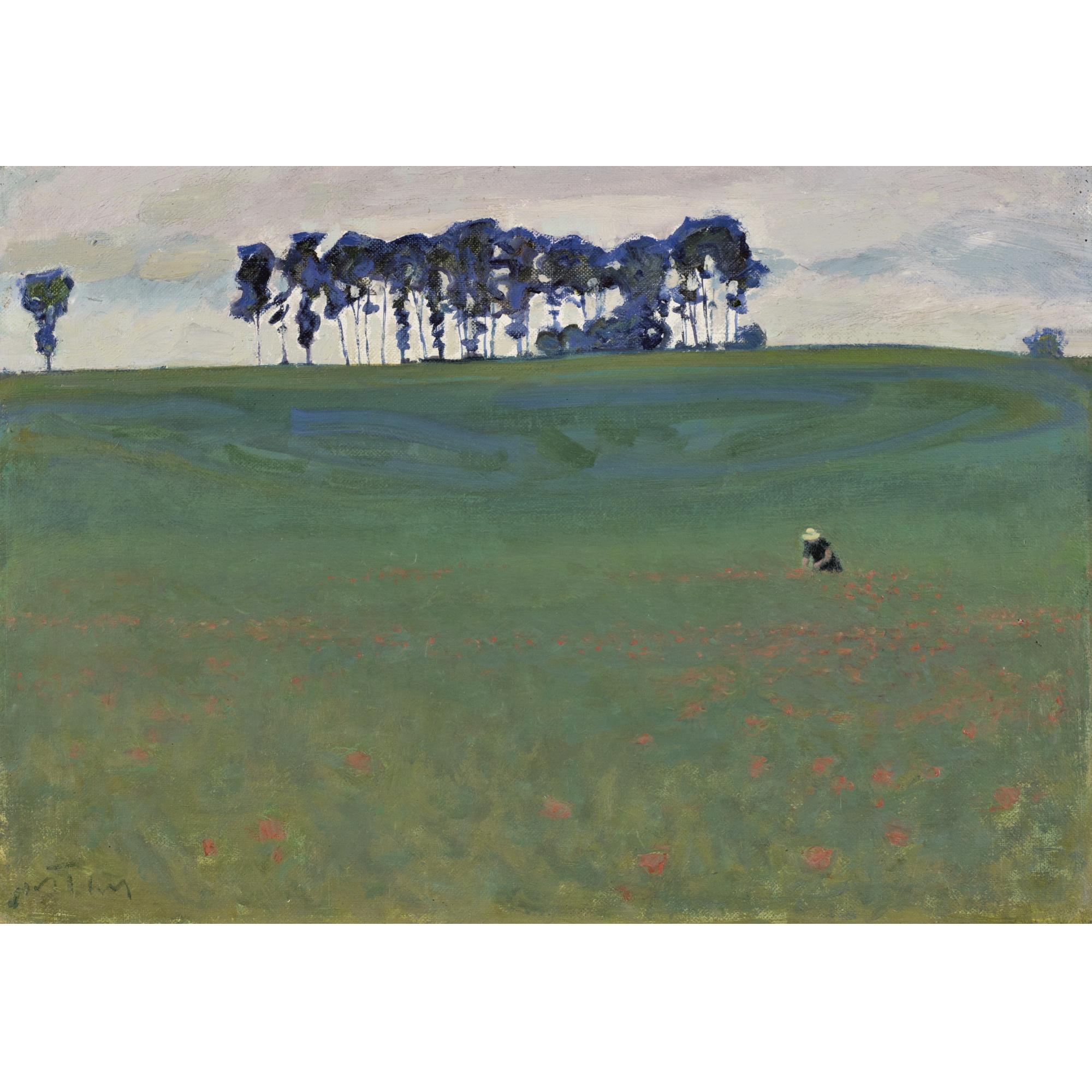 Hans Potthof - Mohnfeld Field Of Poppies