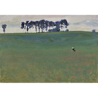 Hans Potthof - Mohnfeld Field Of Poppies