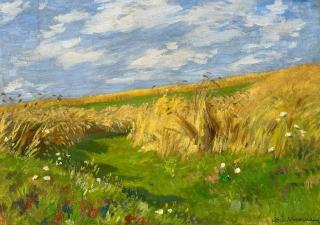 Hans Richard von Volkmann - Getreidefeld