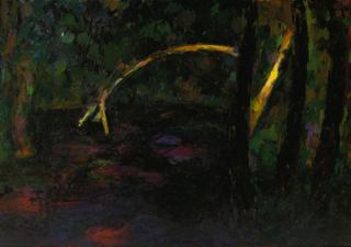 Hans van Hoek - Black water