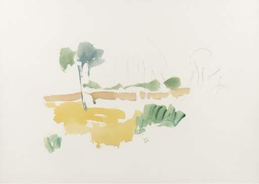 Hans Van Hoek - Peellandschap