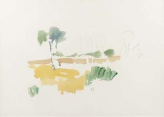 Hans Van Hoek - Peellandschap