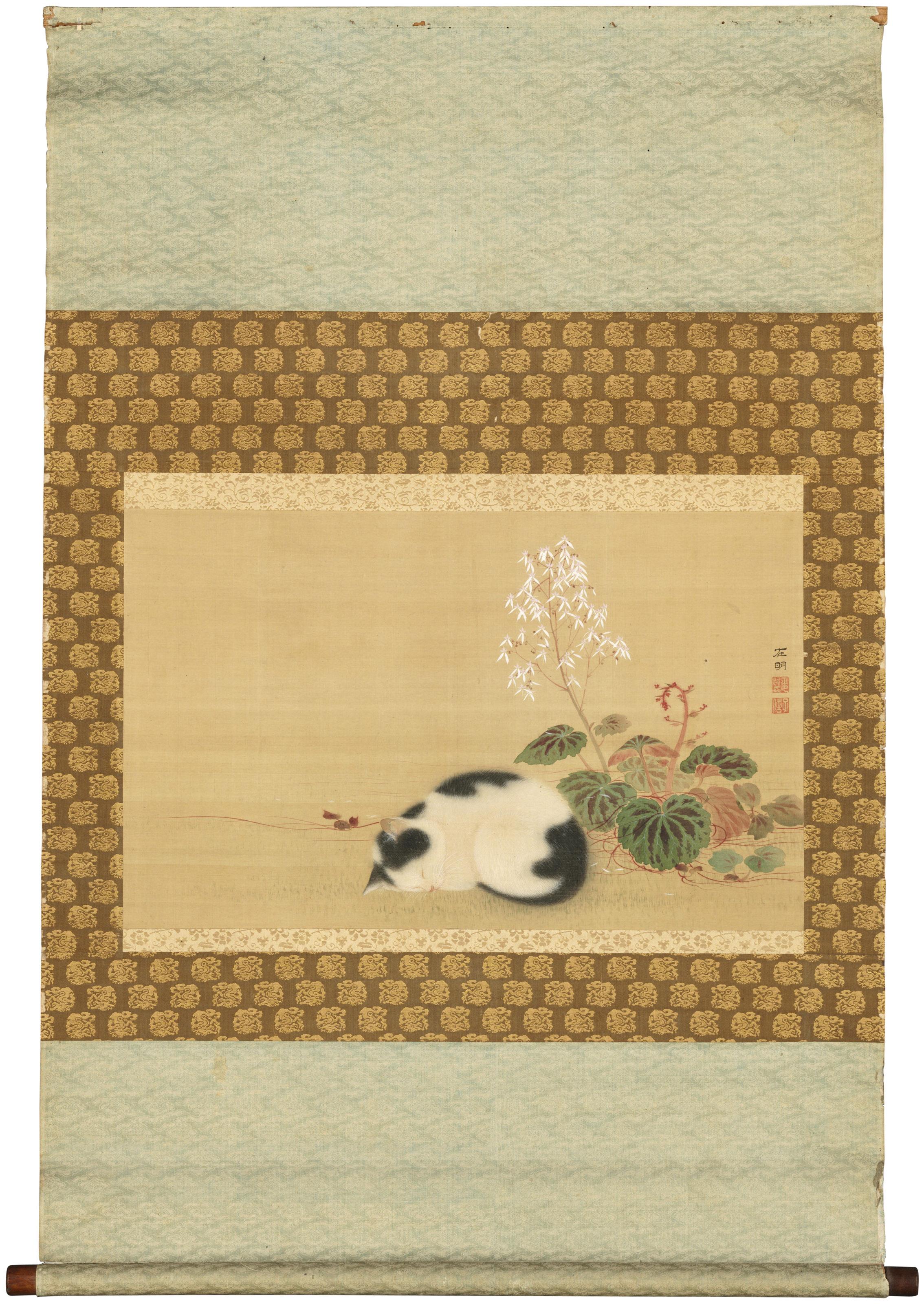 Hara Zaimei - A cat asleep beside plants