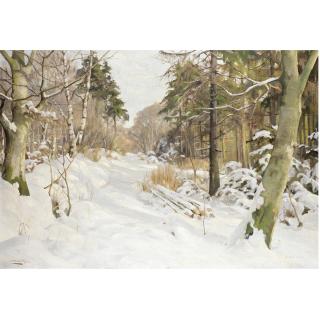 Harald Pryn - A Sunlit Woodland Under Snow