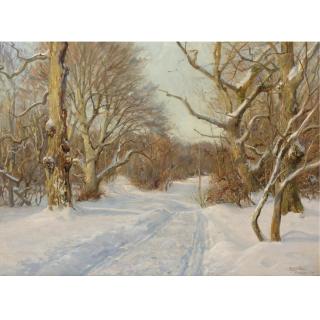 Harald Pryn - Danish Winter In Ermelunden