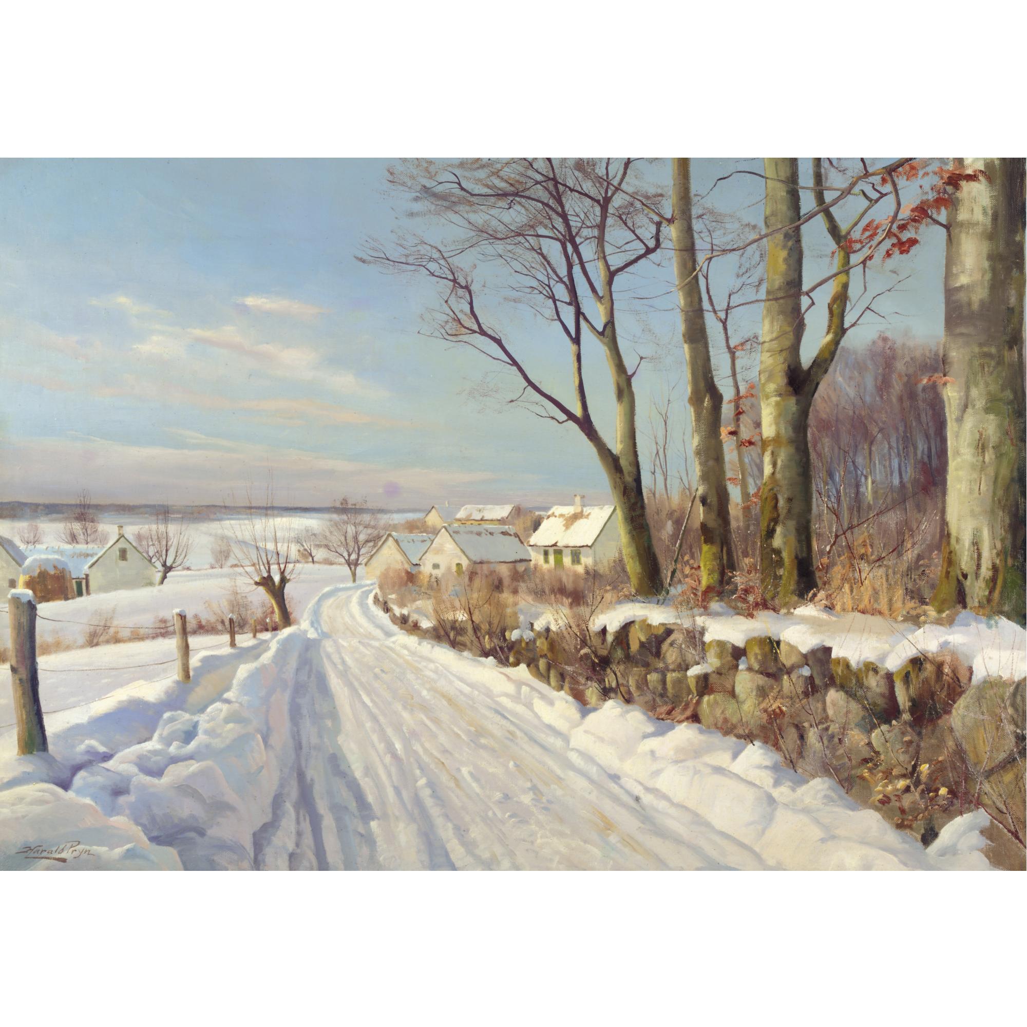 Harald Pryn - Snow Landscape