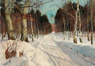 Harald Pryn - Wooded winter landscape