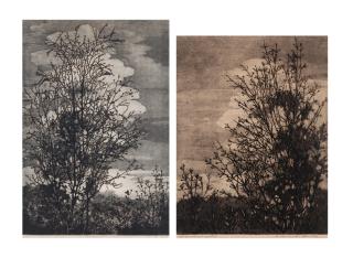 Haren Das - Untitled