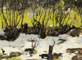 Harm Kamerlingh Onnes - A ditch in winter