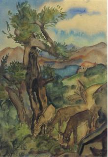 Harmen Meurs - Three donkeys