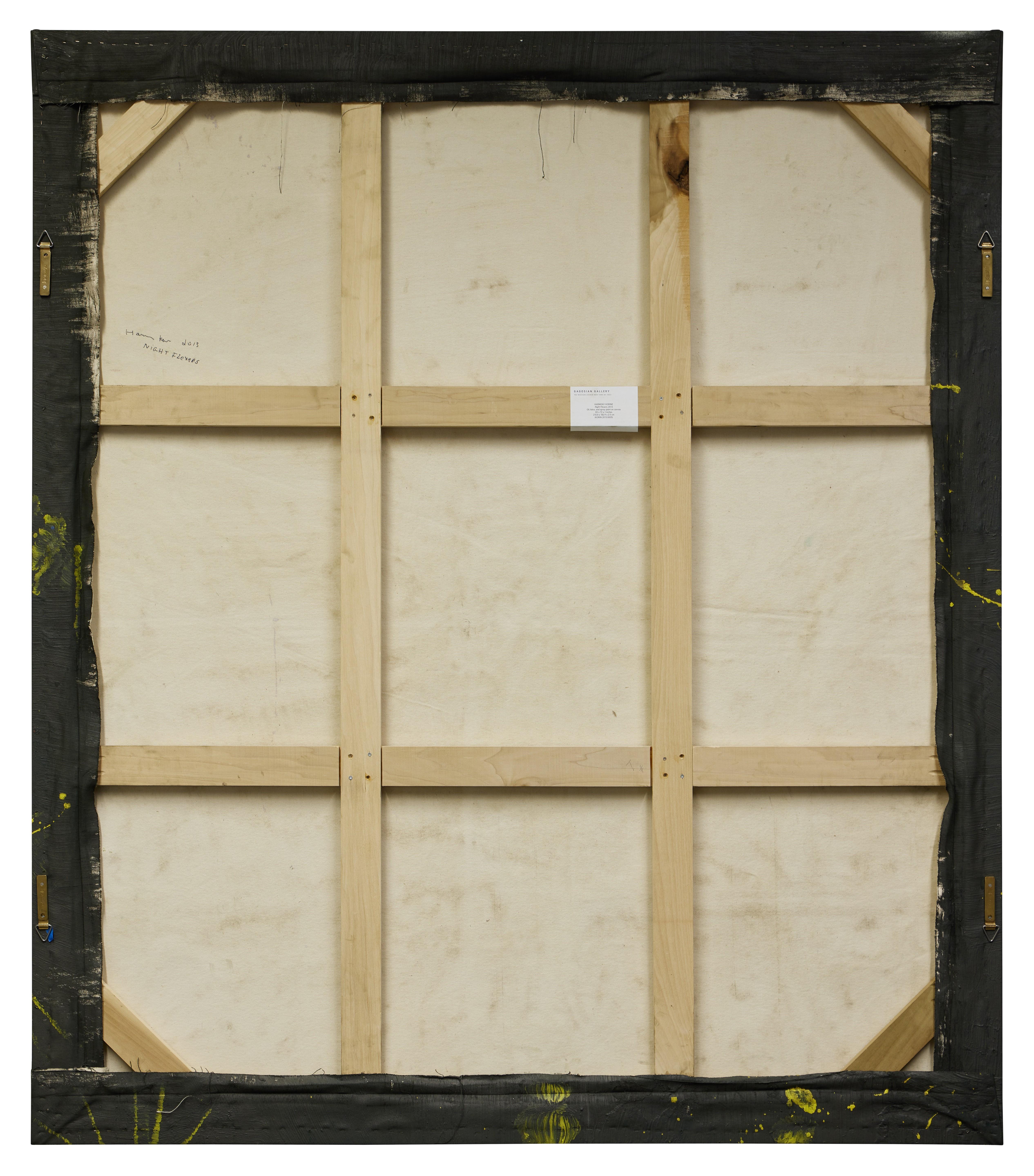 Harmony Korine - Night Flexers