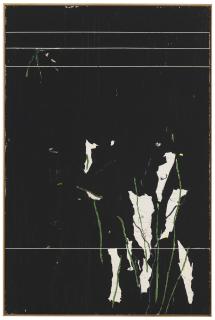 Harold Ancart - Untitled