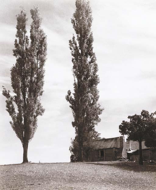 Harold Cazneaux - Old Farmhouse, Windsor