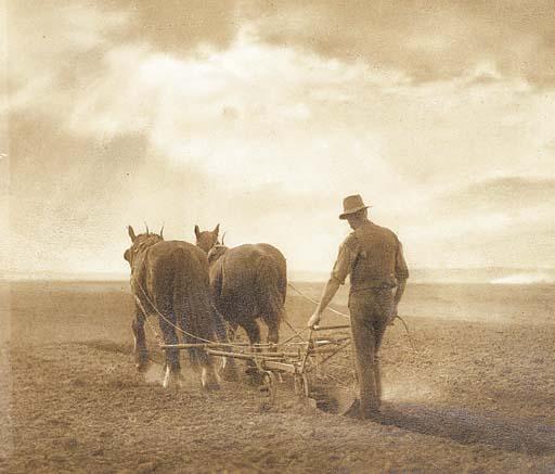 Harold Cazneaux - The Ploughman, Windsor