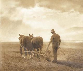 Harold Cazneaux - The Ploughman, Windsor