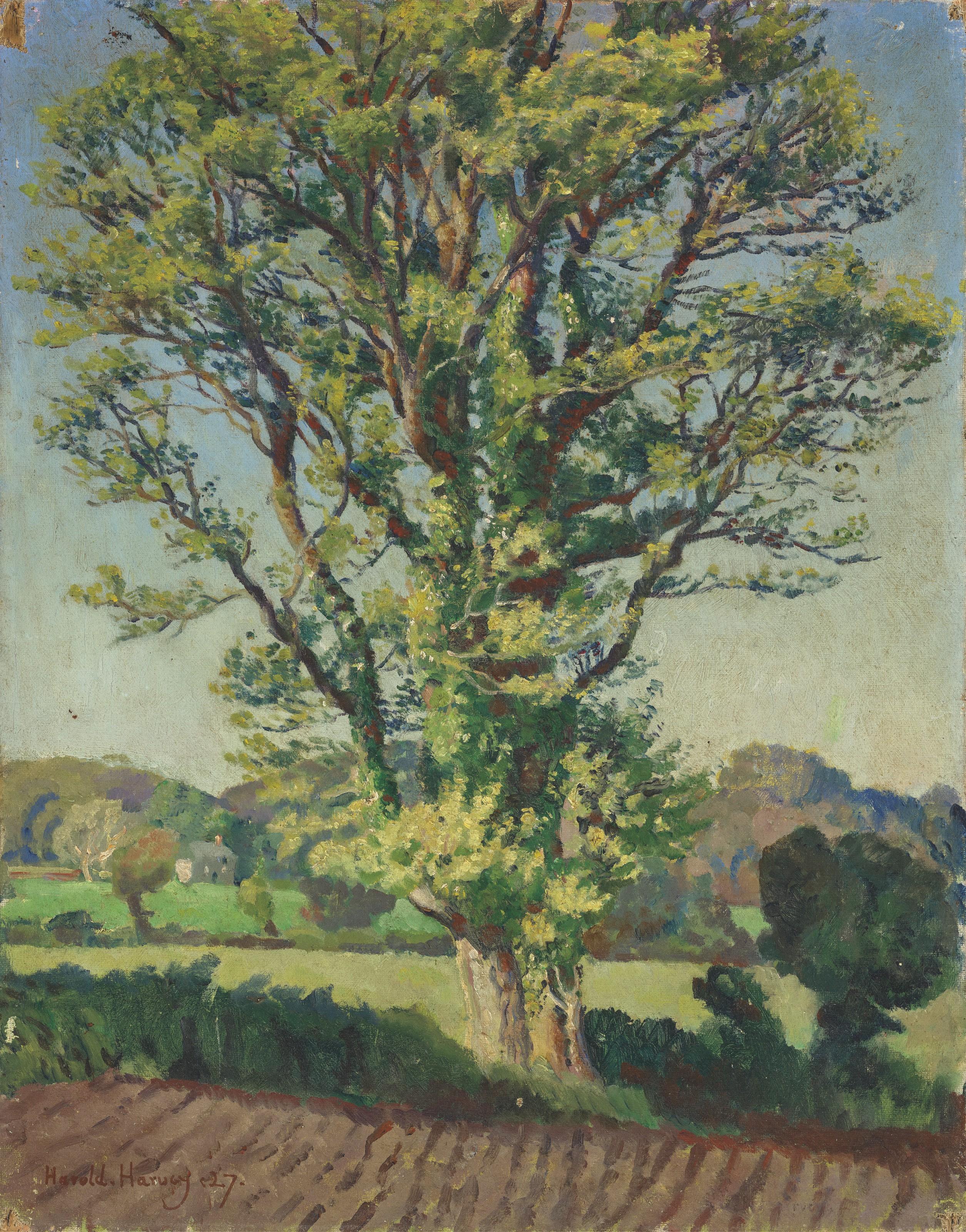 Harold Charles Francis Harvey - The Elm Tree