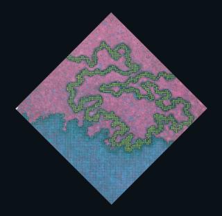 Harold Cohen - Landscape Remembered