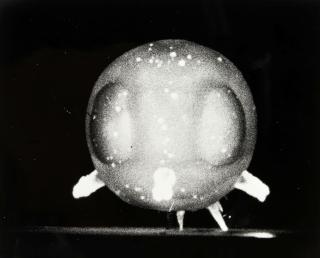 Harold Edgerton - Atomic Bomb Explosion