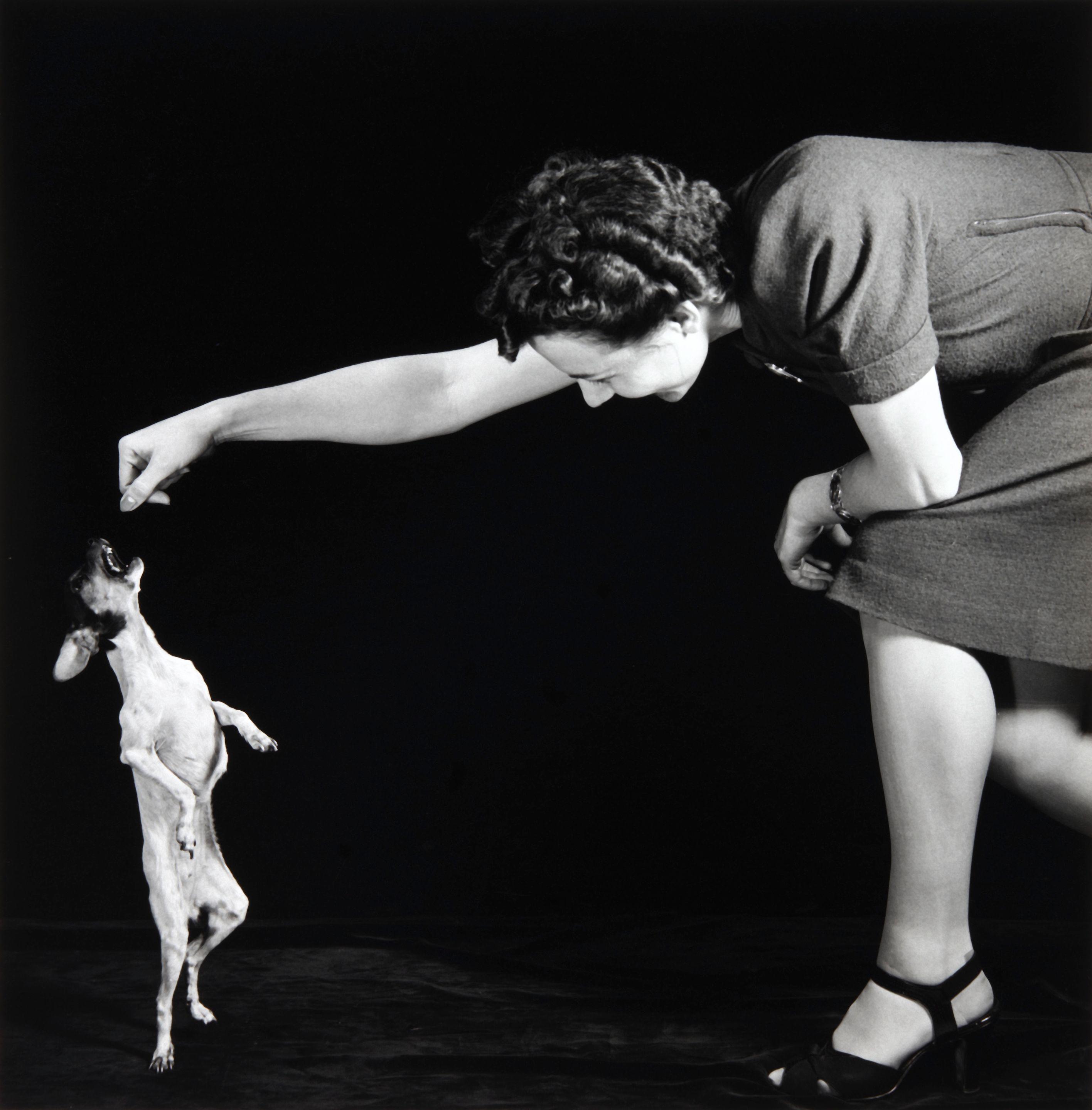 Harold Edgerton - Begging Dog with Woman