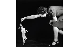 Harold Edgerton - Begging Dog with Woman