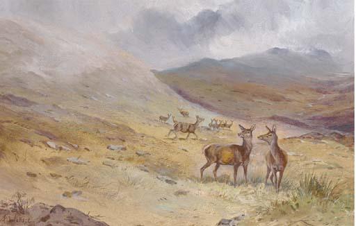 Harold Frank Wallace - Hinds on a moor