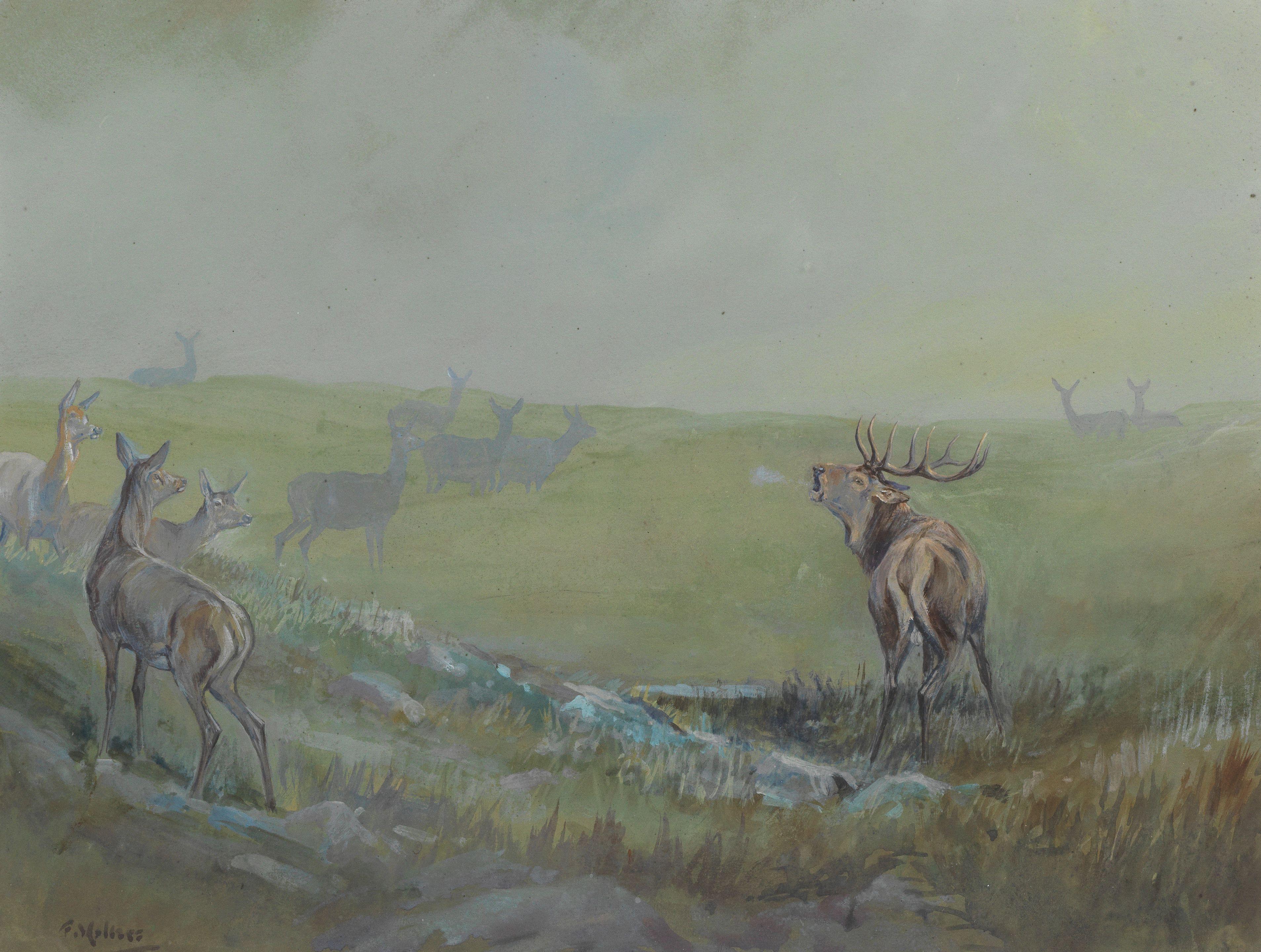 Harold Frank Wallace - Love in the Mist