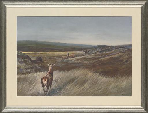 Harold Frank Wallace - The unwelcome visitor