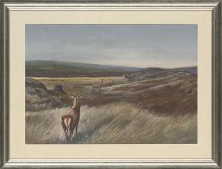 Harold Frank Wallace - The unwelcome visitor