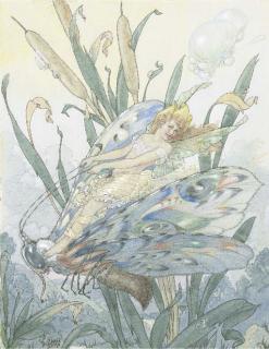 Harold Gaze - The Dragonfly Fairy